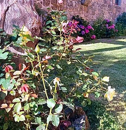 O Celeiro - Espaco Rural Hotel Vila do Conde